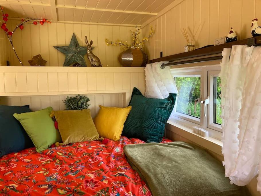 Neddys Rest Luxury Horsebox Stay Баттл Экстерьер фото