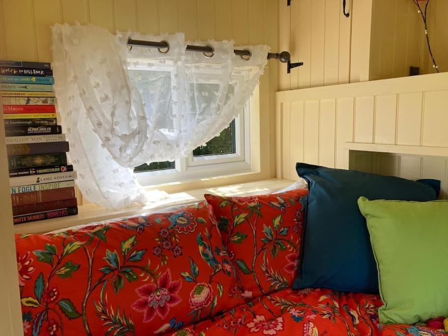 Neddys Rest Luxury Horsebox Stay Баттл Экстерьер фото